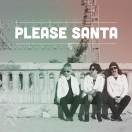 Flaggs - Please Santa